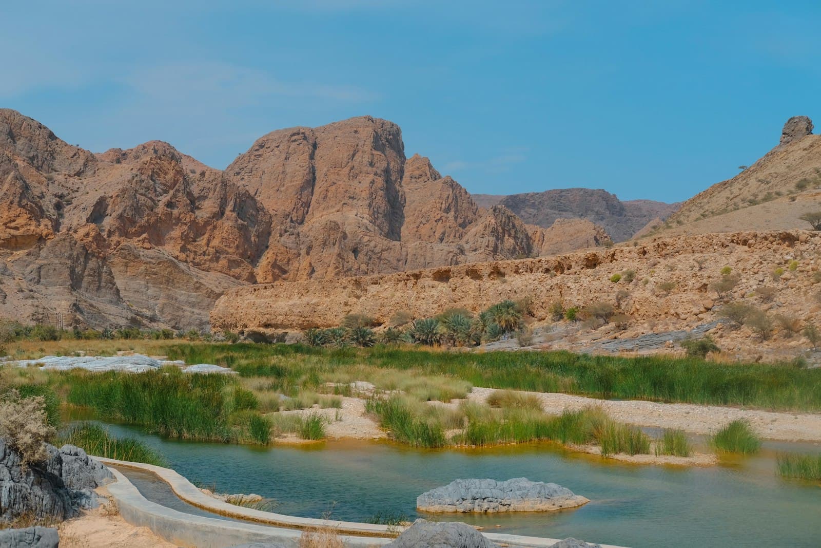 مغامرة الصحراء والواحة